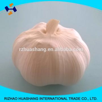 white garlic size5.0cm