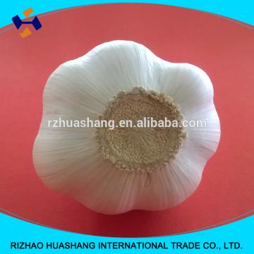 white garlic size4.5cm