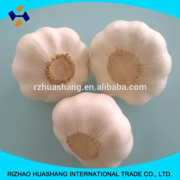 white garlic size5.0cm