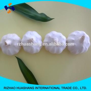 white garlic size 6.0cm