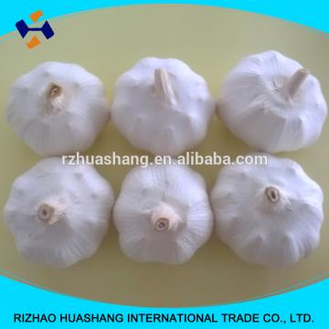 white garlic size 6.0cm