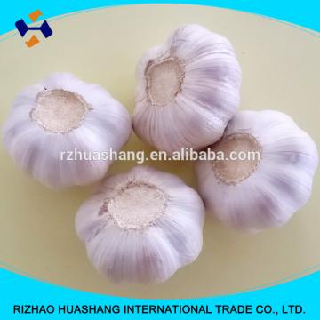 good quality normal white fresh garlic size4.0cm