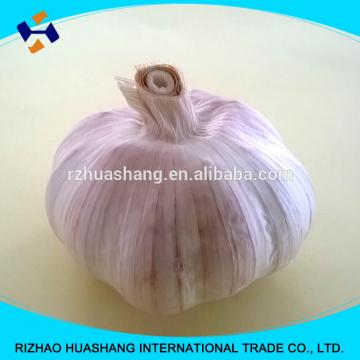 red fresh garlic size4.5cm