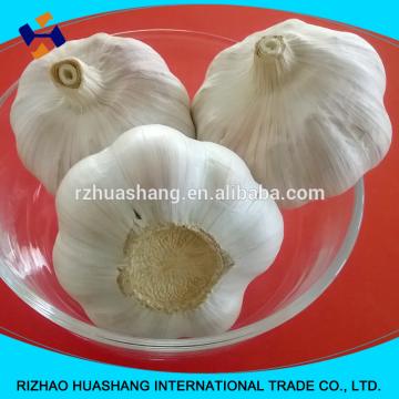 good quality normal white fresh garlic size5.5cm