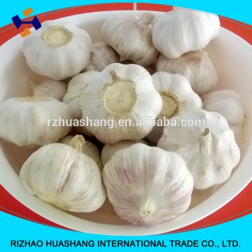 red fresh garlic size5.0cm