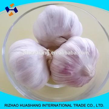 normal white fresh garlic size4.5cm