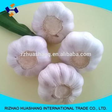 normal white fresh garlic size4.5cm