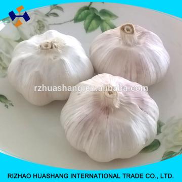 good quality normal white fresh garlic size4.0cm