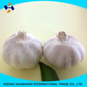 red garlic size4.0cm