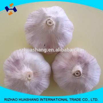 good quality normal white fresh garlic size4.5cm