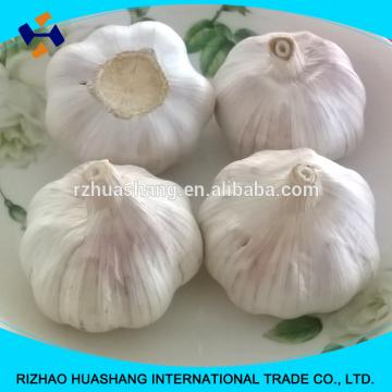 red garlic size4.5cm