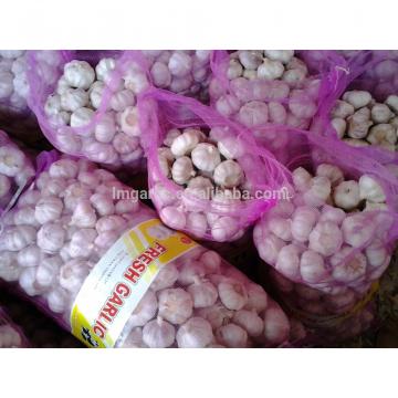 2017 Fresh Garlic / Alho from Jinxiang Liming J10