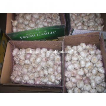 2017 Fresh Garlic / Alho from Jinxiang J10