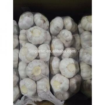 2017 Fresh Garlic / alho /ail from Jinxiang J10