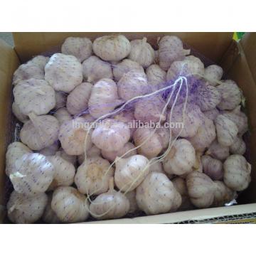 2017 Fresh Garlic / Alho from Jinxiang Liming Food J10