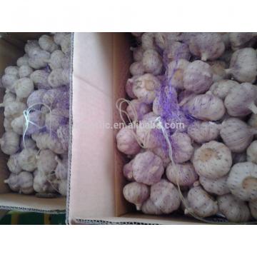 2017 Fresh Garlic / Alho from Jinxiang Liming Food J10