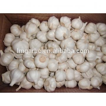 2017 Fresh Garlic / Pure white garlic / Alho from Jinxiang Liming Food J10