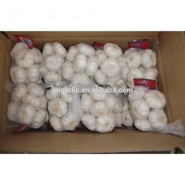 2017 Fresh Garlic / Alho from Jinxiang Liming J10