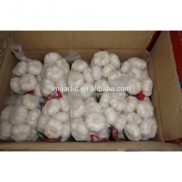 2017 Fresh Garlic / Alho from Jinxiang Liming J10