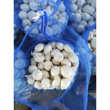 2017 Pure White Fresh Garlic / Alho from Jinxiang Liming F21