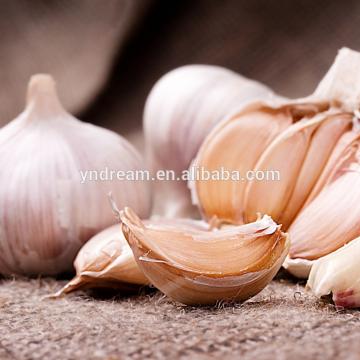 Cheap price wholesale bulk white fresh garlic export from China