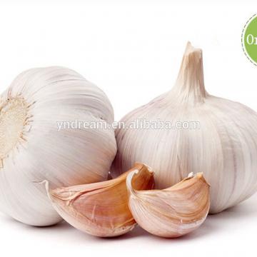 2017 best sale cheap price wholesale white garlic fresh with spicy taste