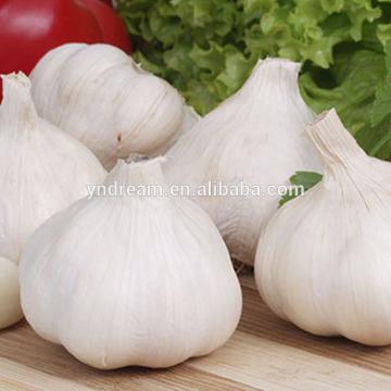 Fresh big white garlic wholesale cheap price for sale for cooking delicious food