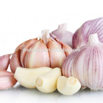 2017 best selling white fresh garlic price in China cheap price wholesale