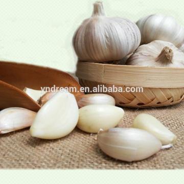 2017 best sale cheap price wholesale white garlic fresh with spicy taste