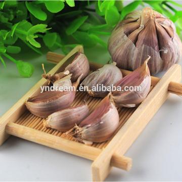 2017 best sale cheap price wholesale white garlic fresh with spicy taste