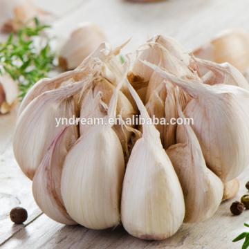 2017 best selling white fresh garlic price in China cheap price wholesale