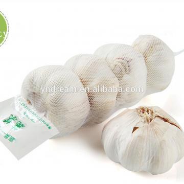 Cheap price wholesale bulk white fresh garlic export from China