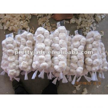 10kg loose carton packing carton garlic