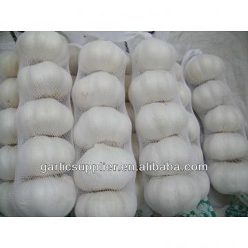 PURE WHITE GARLIC NEW CROP