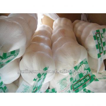 PURE WHITE GARLIC NEW CROP