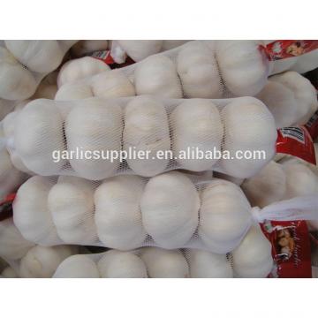 JINXIANG GARLIC NEW CROP