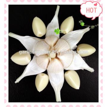 PURE WHITE GARLIC NEW CROP