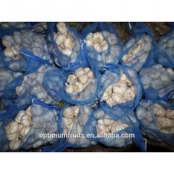 China Shandong normal white fresh red garlic size 5.0cm