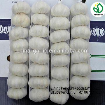 chinese natural garlic on sale garlic benifit for health fresh garlic