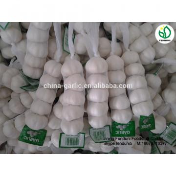 2017 fresh garlic supplier in China(4.5cm,5cm,5.5cm.6cm up)