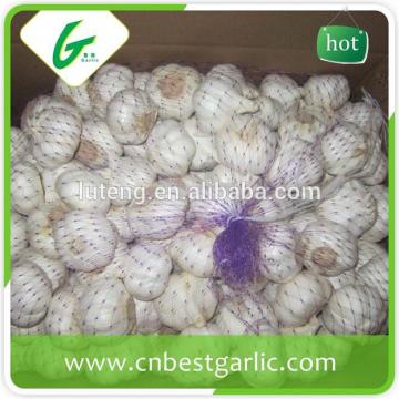 cheap china cheap garlic jinxiang fresh red/normal/pure white garlic factor with low price