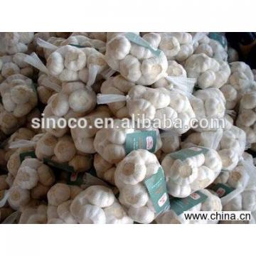 cold store normal white garlic crop 2017