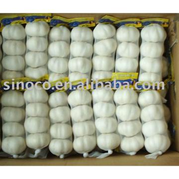 Garlic From China (Normal White)