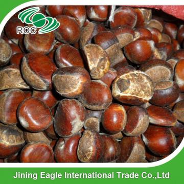 Hot sale high quality bulk sweet fresh chestnuts wholesale