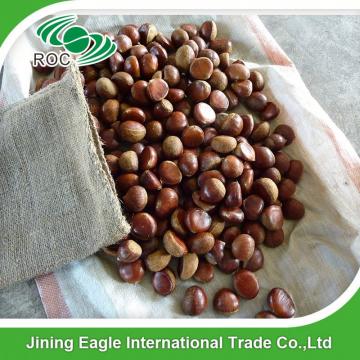 Hot sale high quality bulk sweet fresh chestnuts wholesale