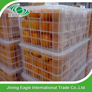 Zhejiang fresh sweet baby mandarin orange in favorable price