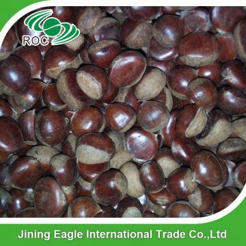 Wholesale common cultivation type nutritive fresh chestnuts