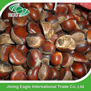 Wholesale top quality fresh organic chestnut