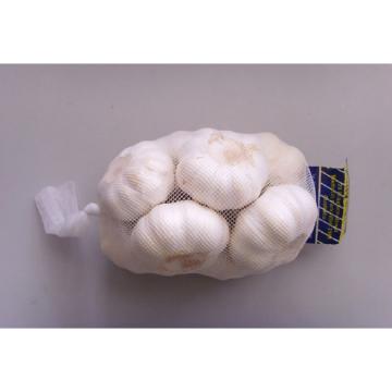 wholesale alibaba normal white garlic price black garlic