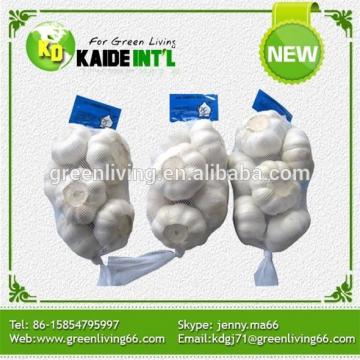 factory price normal white garlic price packed in 10kgs/ctn